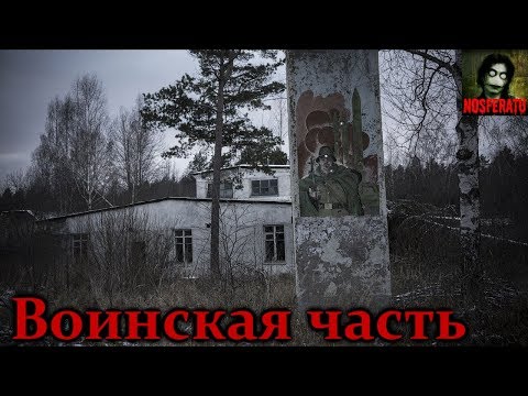 Видео: Истории на ночь - Воинская часть