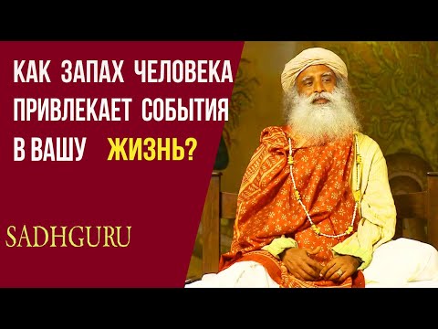 Видео: КАЖДЫЙ ЧЕЛОВЕК СПОСОБЕН ИЗМЕНИТЬ СЕБЯ!-САДХГУРУ#садхгуру #sadhguru #мудрость #wisdom васана