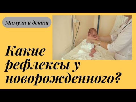 Видео: Рефлексы у новорожденных / Мамули и детки