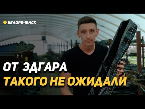 Видео: Не словом а делом. Такого от Магнус-Агро никто не ожидал