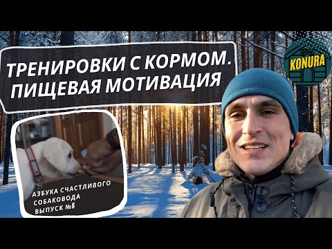 Видео: Пищевая мотивация у собак. Тренировки с кормом. Азбука счастливого собаковода. Выпуск 6