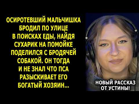 Видео: История, Которая Доведёт До Слёз Даже Самое Холодное Сердце…