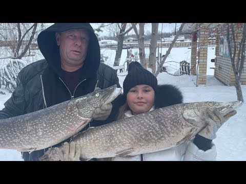 Видео: НОВОГОДНЕЕ БЛЮДО🎄Фаршированная щука рецепт🎄как приготовить🐟рыба