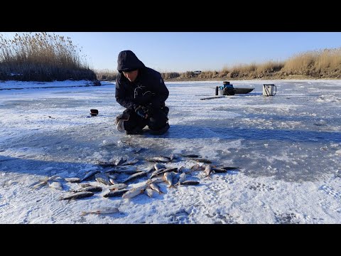 Видео: ПОПАЛИ НА ЖОР ПЛІТКИ І ГУСТЕРИ НА МІЛКОВОДДІ. Зимова рибалка на плітку