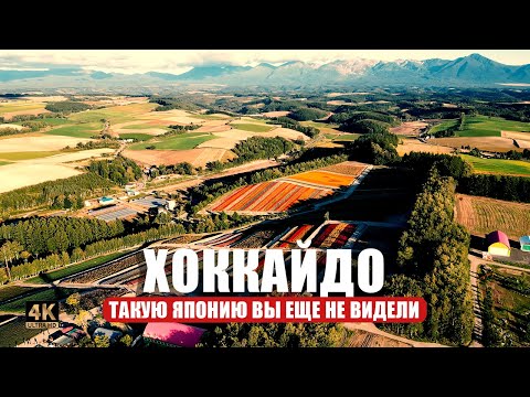 Видео: Путешествие по Хоккайдо, японскому острову до которого добираются немногие туристы 🗻🦊🌸