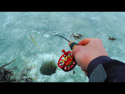 Видео: ТАКОГО Я ЕЩЕ НЕ ВИДЕЛ. ОФИГЕЛ КОГДА ОТКРЫЛ ЩУЧЬЮ ПАСТЬ. Щука с СЮРП......Рыбалка 2025