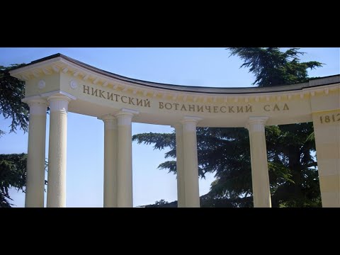 Видео: Прогулка по Никитскому ботаническому саду. Стрим 18.06.2023 года