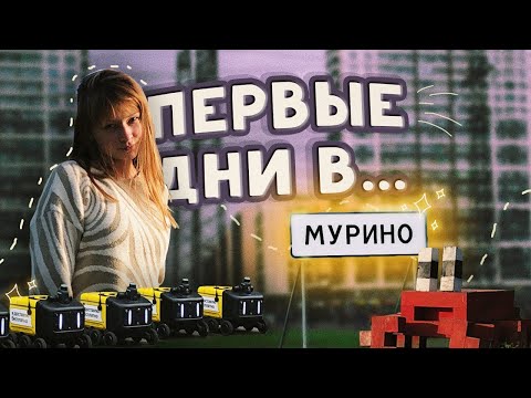 Видео: первые дни в МУРИНО | так ли здесь всё плохо?! первые ВПЕЧАТЛЕНИЯ | Мурино влог, Питер влог