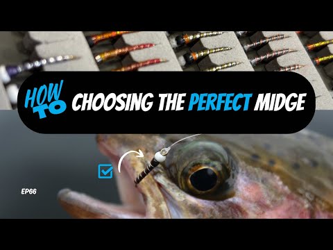 Видео: Как выбрать идеальную мушку для ловли форели в стоячей воде