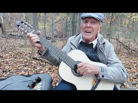 Видео: Ноченька лунная, звёзды так ярко горят 