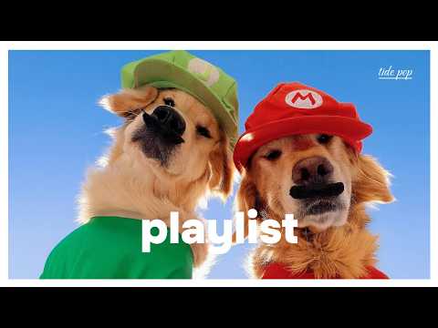 Видео: PLAYLIST | Включив это, я чувствую себя хорошо, серьезно 🎶✨ Эмоциональный поп летних выходных