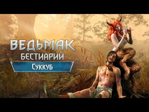 Видео: The Witcher 3. Бестиарий. Суккубы