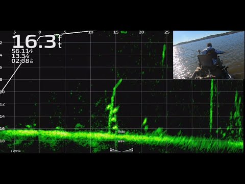 Видео: Ловля краппи с Livescope Plus на озере Дарбонн! Полноэкранный Livescope на всём протяжении!