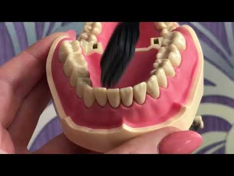 Видео: Техника чистки зубов