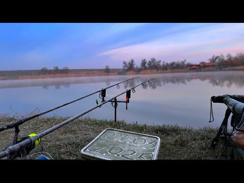 Видео: ЛОВЛЯ КАРПА В МАРТЕ! Карпфишинг весной 2025! Рыбалка на карпа по холодной воде весной!