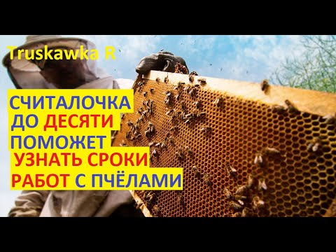 Видео: #пчёлы. Как легко спланировать работы на пасеке, умея считать до десяти. Сроки расширений семей.