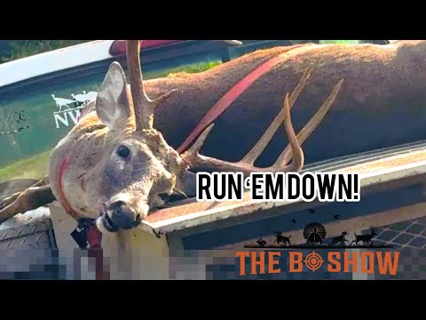 Видео: Непрерывное действие от начала до конца | Натиск оленьих собак | Охотничий клуб «Бедные мальчики»