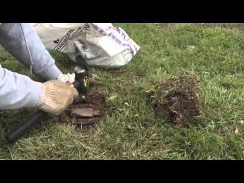 Видео: Как привести в действие ловушки-кровати, ловушки-кровати с гвоздями и торфяным мхом для койотов