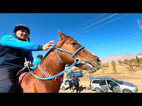Видео: Лейлек улак