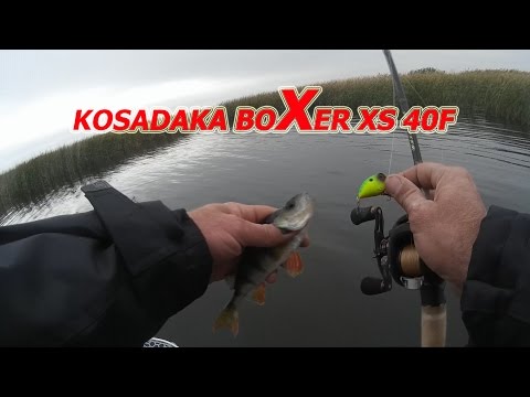 Видео: Kosadaka Boxer XS 40F. Обзор. Первые Впечатления От Ловли.