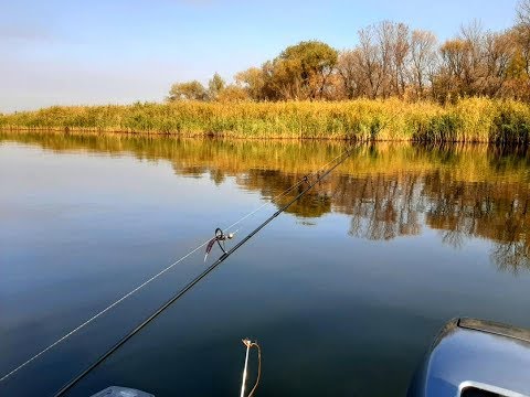 Видео: Рыбалка.Карачуны.Лодка.Щука