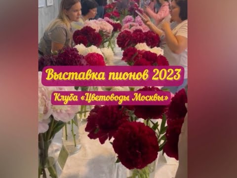 Видео: ВЫСТАВКА ПИОНОВ 2023. Клуб «Цветоводы Москвы», Аптекарский огород. #пионы #paeonia