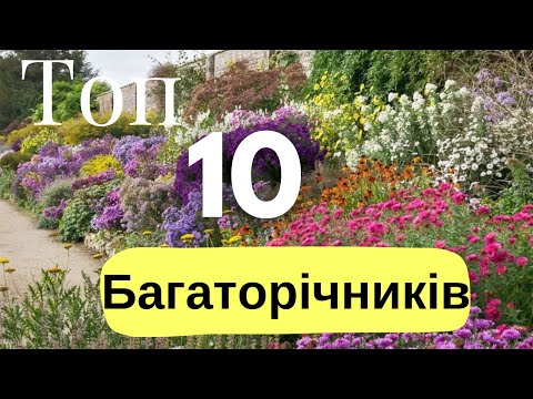 Видео: Секрети садівників: Невибагливі багаторічники, які мають бути у вас