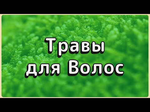 Видео: 3 травы для ГУСТОТЫ ВОЛОС после 50 | Результат через 2 недели ✨