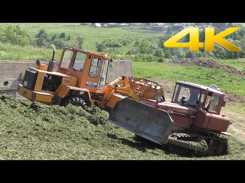 Видео: Закладка сенажа в яму - трактор ДТ-75, погрузчик Амкодор 332В, а так же Т-150К, МТЗ-80 и Камаз 55111