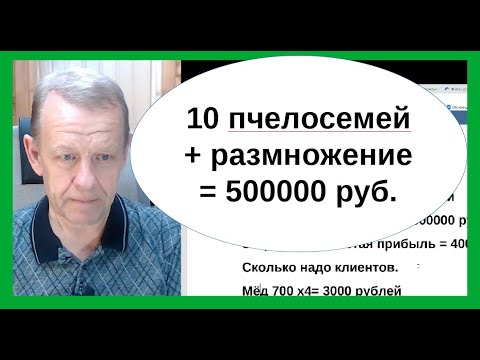 Видео: Бизнес-пасека на Сотке - размножение и продаже пчелосемей, бизнес-план. Вам понравится!