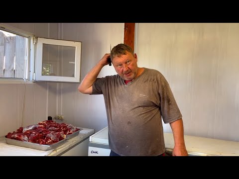 Видео: ЭКСТРЕННАЯ СИТУАЦИЯ! КОРОВА ПОШЛА В РАСХОД ЗА 15 МИНУТ! 