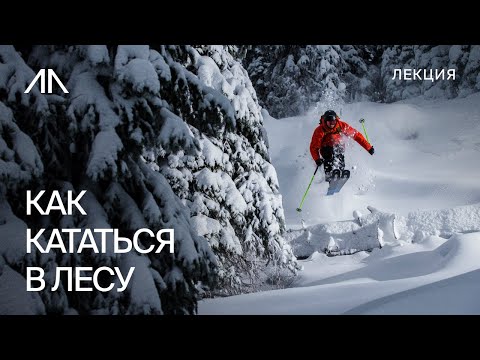 Видео: Как кататься в лесу?