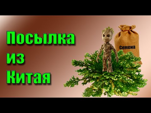 Видео: Посылка из Китая (Алиэкспресс). Семена из Китая и прикольные горшки. Покупка - ожидание - реальность
