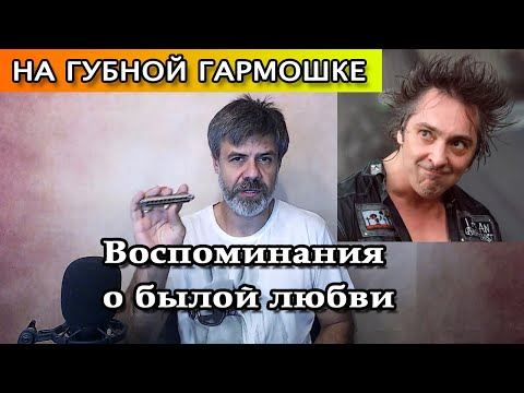 Видео: Воспоминания о былой любви на губной гармошке (кавер Король и Шут)