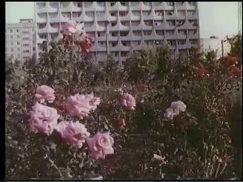 Видео: Архитектурная  "ПОБЕДА" (видео)