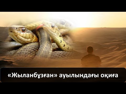 Видео: «Жыланбұзған» ауылындағы оқиға