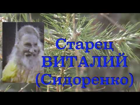 Видео: УРОКИ ЖИЗНИ.  Старец ВИТАЛИЙ (Сидоренко). Наставления 47-500