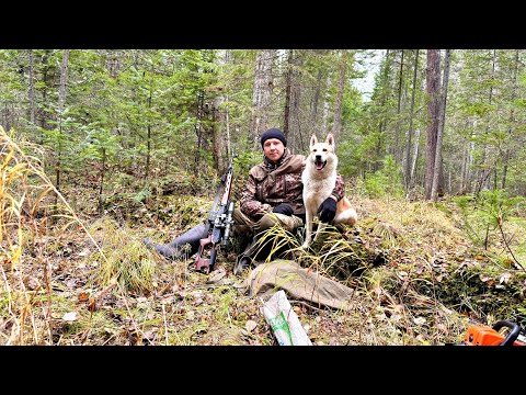 Видео: ПОДГОТОВКА К ПРОМЫСЛУ. УСТАНОВКА ЯЩИКОВ НА СОБОЛЯ.ЧИСТИМ ПУТИКИ.