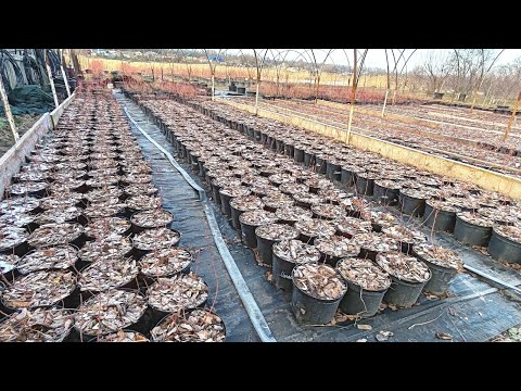 Видео: 21.12.2024. Работаем! 💪