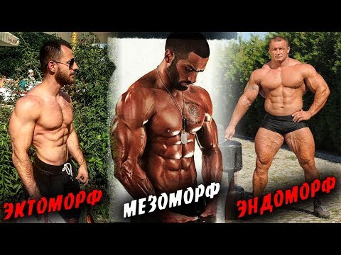 Видео: ТУПОЙ СТЕРЕОТИП Типов Телосложения ! Ты еще веришь ?