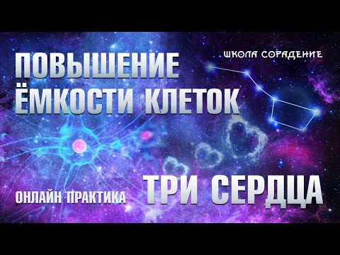 Видео: Повышение ёмкости клеток и Три сердца #Ёмкостьклеток #Трисердца #СтасАкинин #школаСорадение