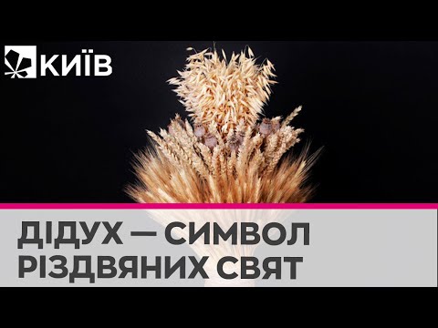 Видео: Різдвяний Дідух: що він символізує та які вірування з ним пов'язані?
