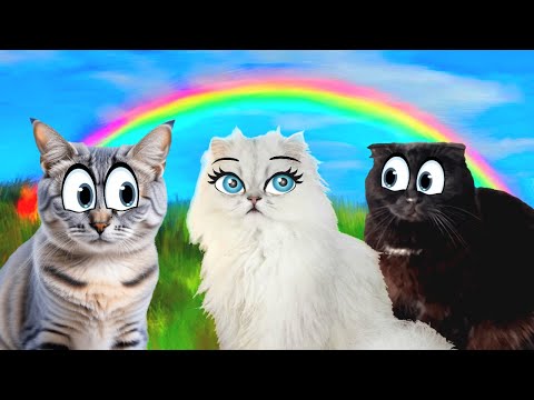 Видео: РАДУЖНЫЕ ДРУЗЬЯ: СКАЗКИ На Ночь от ЧЁРНОЙ КОШКИ…