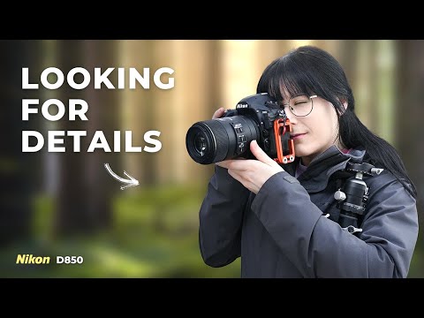 Видео: Лесная фотография — интимное исследование с Nikon D850