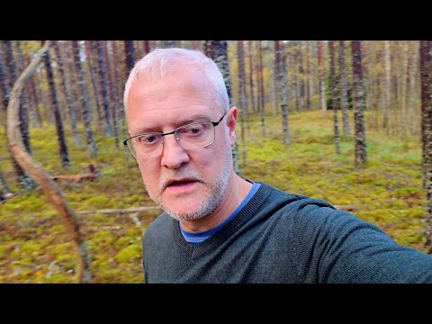 Видео: Я сходил в лес проверить грибы, так что вам не надо. 10 октября, Латвия | Sēnes. Latvija, Kurzeme