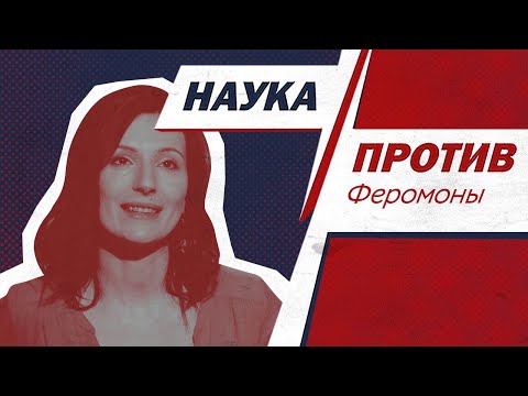 Видео: Вера Толченникова против мифов о феромонах