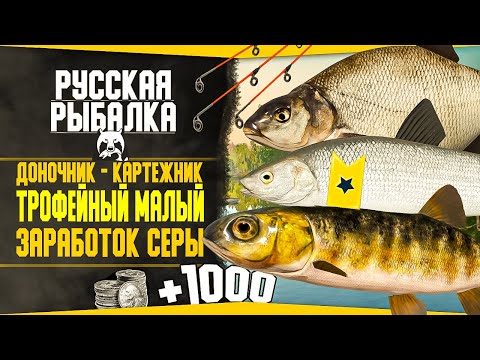 Видео: Путь доночника-картежника! в РР4 #10 💥Отличный ЗАРАБОТОК Серебра НОВЫЕ ТОЧКИ! | Русская Рыбалка 4