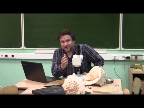 Видео: Что такое гидробиология