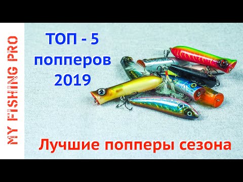 Видео: ТОП-5 ПОППЕРОВ 2019! Лучшие Попперы Сезона + Бонус!