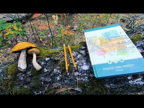 Видео: РИСУЮ В СКЕТЧБУКЕ С НАТУРЫ В ОСЕННЕМ ЛЕСУ. КРАСОТИЩА!